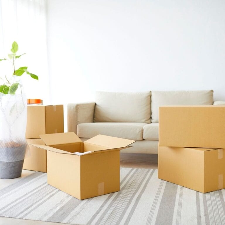 moving boxes in living room